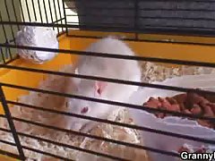 Granny rides neighbour's big cock