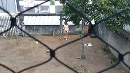 Amateur brunette wife working naked outside