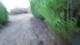 Young brunette girl Nicole Niagara sucking and fucking dick at the National Park