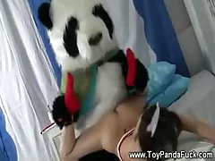 Cute teen girl in kinky outfit is getting fucked by a toy panda