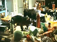 Compilation of cut scenes of movie star Angela from various movies where she shows her naked body.