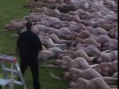 A large group of ladies took their clothes of and got photographed by a professional photographer