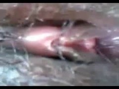 Asian girl is having a secret sex adventure with a guy who is in love with her