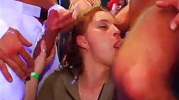 Drunken sluts are sucking and touching big dicks of complete strangers at the crazy party