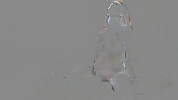 Sweet girl is sucking her fiend's dick while he is gently fingering her soaking wet pussy
