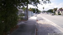 Ebony babe had a great sex adventure in the back of a car, near her home