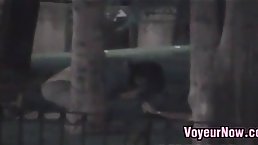 Horny people are fucking like wild animals, in the middle of the night and enjoying it