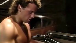 Astonishing woman and her wealthy lover fucked next to his car and on the back seat