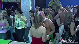 A large group of naughty girls are sucking dicks and getting fucked the way they like
