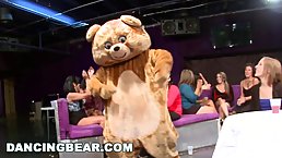 A very handsome guy dressed up as a bear is dancing for naughty ladies and fucking them