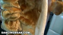Handsome man dressed up as a huge bear is dancing for many ladies and getting naked