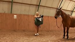 Nude babes are pampering their horses while guys are staring at them all the time