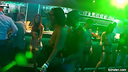 Horny girls and excited guys are fucking each other in the night club, all night long