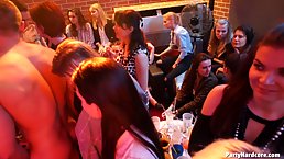 Tipsy babes and horny guys are about to turn a birthday party into a massive orgy