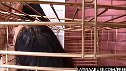 Barely legal Latin brunette got caged and forced to suck cock before having anal sex