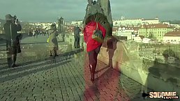 Susan is a cute brunette with an nsatiable desire to fuck guys all the time