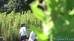 Japanese schoolgirls are pissing in the nature not knowing that someone is making a video of them