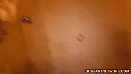 Petite blonde babe is sucking a massive, black cock and getting stuffed with it in many positions