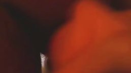 Dutch milf likes dicks and sucks them all the time, like many of her friends
