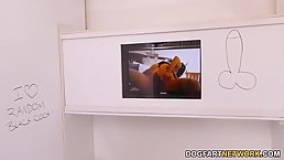 Amateur babe with glasses and not so big, natural tits is sucking dick through a gloryhole