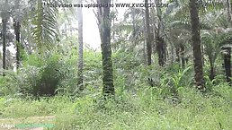 Ebony babe went to the local forest with a stranger to get fucked until she cums