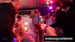 Slutty brides are getting fucked hard in the night club, right after the wedding ceremony