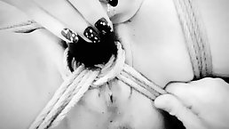 Curious girl wanted to learn more about shibari and ended up experiencing multiple intense orgasms
