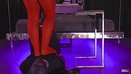 Woman in red pantyhose is having a real blast while humiliating her new sex slave
