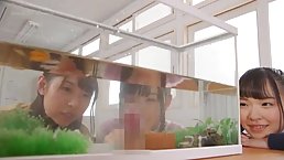 Japanese girls are being cruel with the fish in the tank, because it feels so good