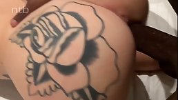 Tattooed babe with ample assets is sucking a big, black dick and getting stuffed with it