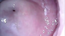 After sucking her lover's dick, horny girl wanted to feel it inside her, until she cums
