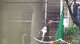 Spying on japanese pissing schoolgirls
