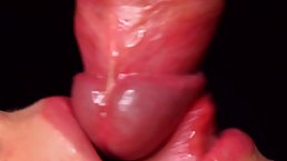 Closeup blowjob with cum swallow