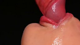 Slow close-up blowjob with facial