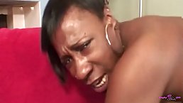 Small tits ebony MILF spreads her legs for his tongue and BBC