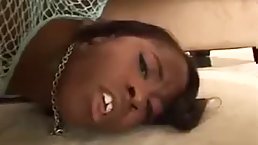Hot ebony babe gets her ass fucked and jizzed by white dick
