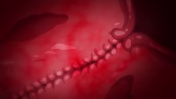Sexy girl gets fucked with cum on her tits (Hentai)